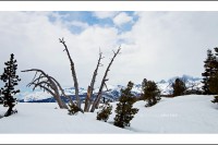 Minaret vista on a cloudy day in Mammoth Lakes, California.
